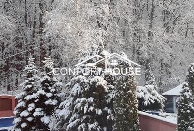 VILA D+P+E+M, 12 camere, piscina , padure, IANCU NICOLAE VILA D+P+E+M, 12 camere, piscina , padure, IANCU NICOLAE - 44