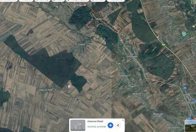 Teren extgravilan agricol Uliesti, ID: R2263433 - 3