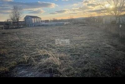 Teren Construcții intravilan de 1000 mp, în Câmpineanca - 2