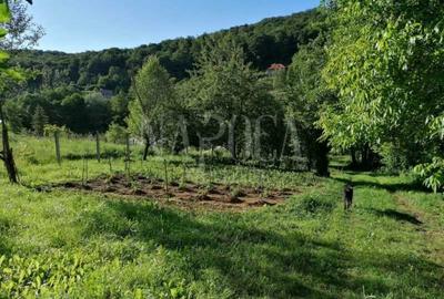 Teren intravilan pentru constructii de vanzare in Feleacu - 2