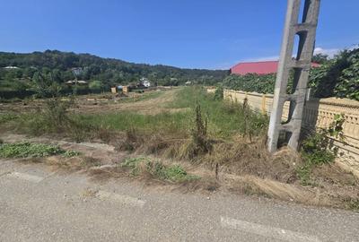 Teren Construcții intravilan de 2131 mp, în Băbana - 2