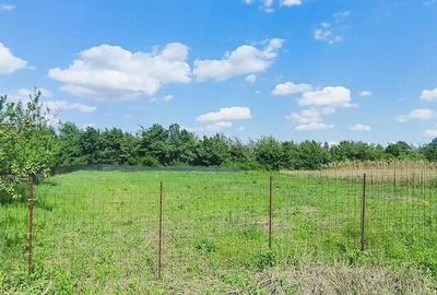 Teren de 940 mp, în Hemeiuș - 4