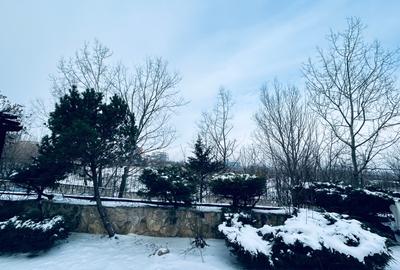 Piata Sudului Metrou- strada  Cercetatorilor LIDl - 10