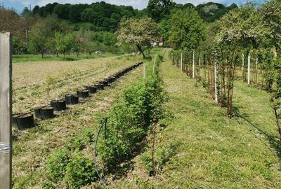 Teren de 2860 mp, în Central - 2