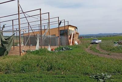 Spațiu comercial, în Copăceni - 4