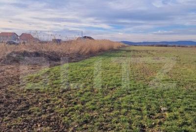 Teren intravilan, 8700mp,Prejmer - 3