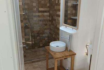 Apartament 1 camera de inchiriat - IC Frimu, 28 mp, complet mobilat - 10