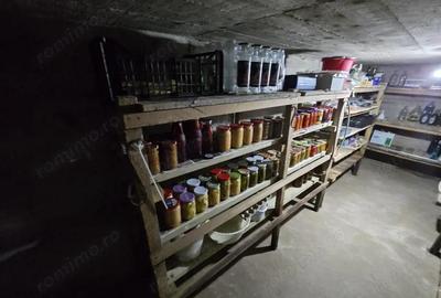 Vila ?i Teren zona Slava, Mobilata ?i Utilata - 10