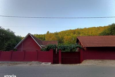 Casă cu 4 camere cu Teren 705 Mp în Copăcel - 11