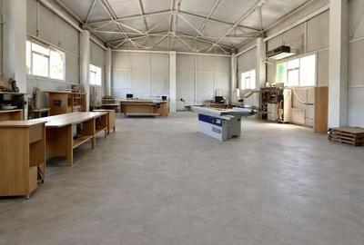 Spațiu industrial, de 450 mp, în Alexandriei - 1