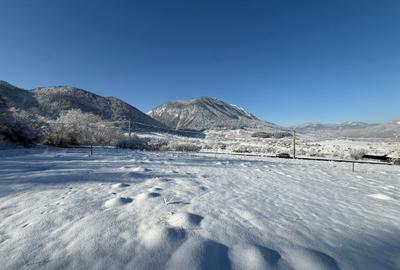Teren intravilan 500 sau 1000 mp Bran-Tohanita la dum asfaltat - 13
