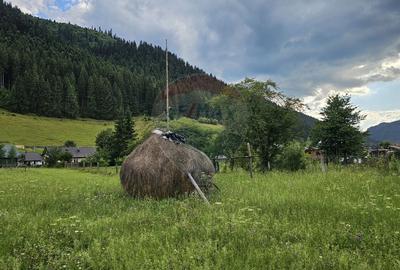 Teren Construcții intravilan de 4822 mp, în Central - 8