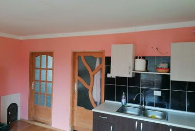 Casă cu 3 camere în Radu Negru - 6