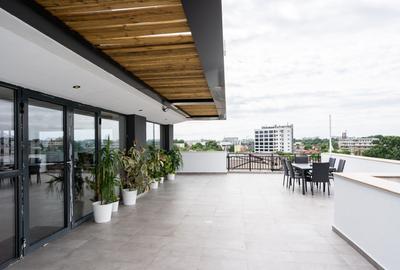 ULTRA-CENTRAL: Penthouse de 243 mp (Terasă 105 mp!) cu View Spectaculos - 14