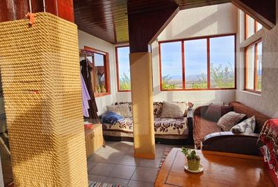 Casa de vanzare, sub padure, intr-un cadru natural deosebit – Sancraiu - 6