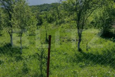 Teren în Stremț - 3