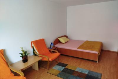 Garsonieră decomandată în Victoriei - 8