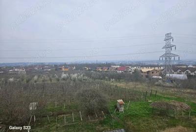 Casă cu 6 camere cu Teren 15000 Mp în Galata - 7