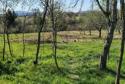 Casă cu Teren 20000 Mp în Vârfurile - 10