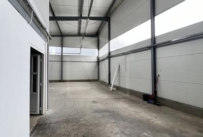 Spațiu industrial, de 270 mp, în Grigorescu - 3