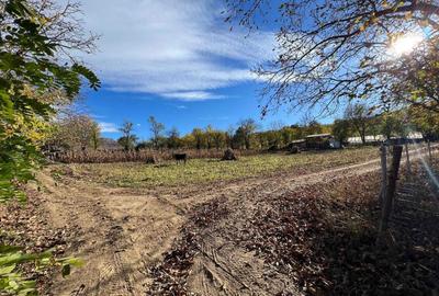 Spațiu comercial, în Drăgușani - 1