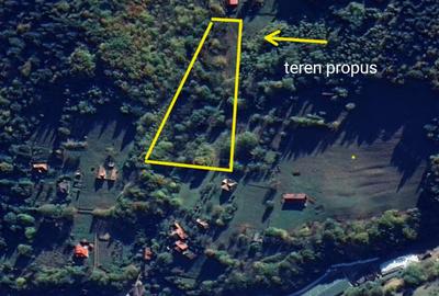 REZERVAT - TEREN BRAN - OPORTUNITATE INVESTITIE REZERVAT - TEREN BRAN - OPORTUNITATE INVESTITIE - 5