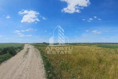 Teren agricol extravilan de 39600 mp, în Gai - 2