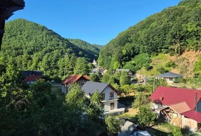Casă cu 5 camere cu Teren 4000 Mp în Ilba - 6