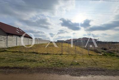 OX629 Teren in Dumbravita - utilitati complete, acces facil, aproape de centura - 4