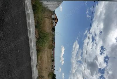 Teren de 800 mp, în Mahmudia - 4