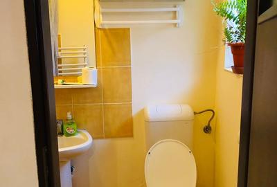 Casa cu 4 camere la 15 minute de centru Timisoarei - 8