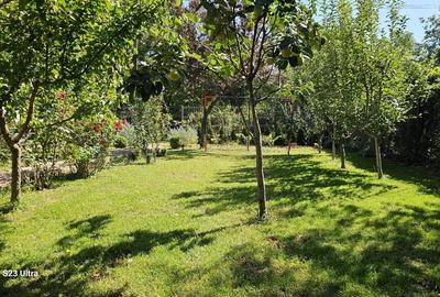 Duplex cu 2 camere cu Teren 500 Mp în Casa Cărții - 10