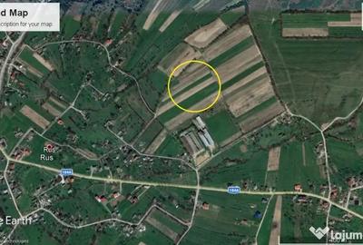 Teren de 1300 mp, în Dumbrăvița