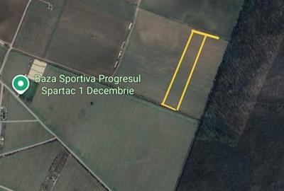 Teren în 1 Decembrie - 2