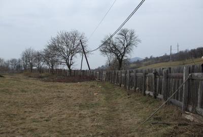 Hala productie, depozit, birou-zona Reghin-Gurghiu - 2