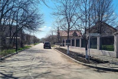 Loturi teren zona SERE Alexandria si Nanov - 3