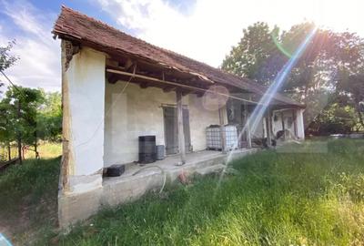 Teren în Moșnița Nouă