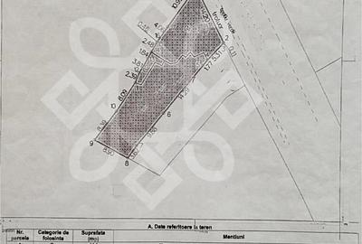 Casa individuala cu teren ultracentral in Oradea - 17
