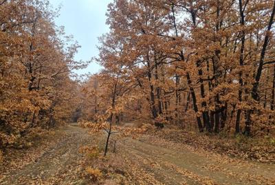 Spațiu comercial, în Bâlteni - 1