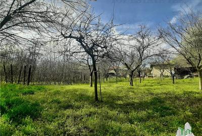 Casă individuală cu 3 camere cu Canalizare în Central - 8
