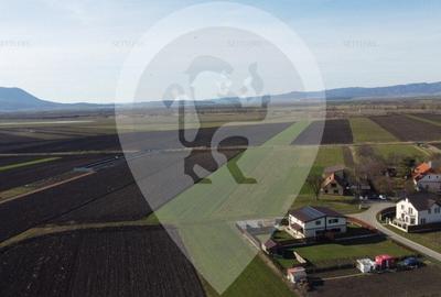 Teren pentru dezvoltare imobiliara Stupini - 6