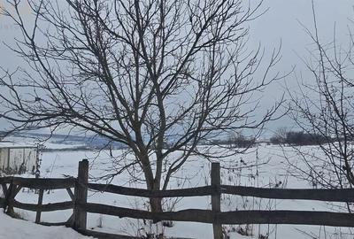 Spațiu comercial, în Jelna - 1