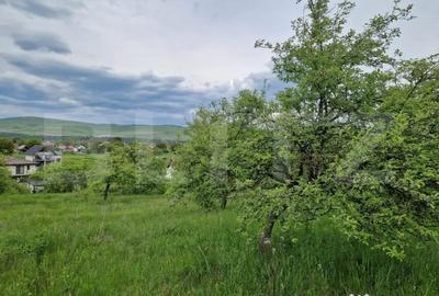 Teren de 1500 mp, în Gilău - 3