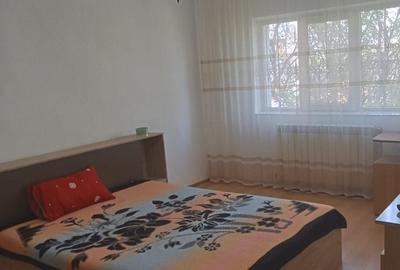 Apartament cu 2 camere decomandat, mobilat în Nicolina - 2