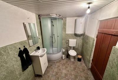 Casă cu 3 camere cu Teren 4191 Mp în Cig - 1