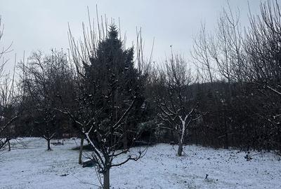 Casă cu 8 camere decomandat cu Teren 1000 Mp în Cornu - 11