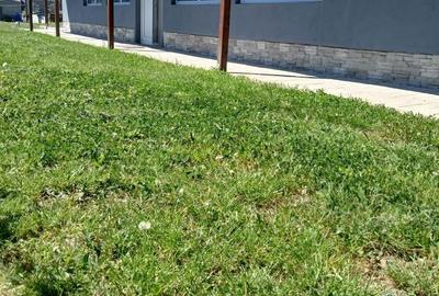 Casă cu 2 camere în Gepiu - 4
