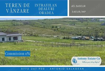Teren de 850 mp, în Dealuri Oradea - 3