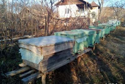 Casă cu 4 camere cu Teren 2000 Mp în Bujoreni - 9