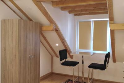 Apartament cu 2 camere în Palazu Mare